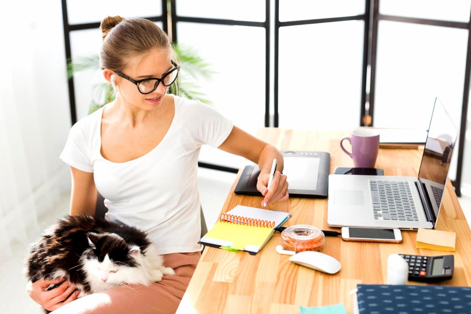 Ambiente di apprendimento pratico per SEO tecnica con postazioni di lavoro moderne
